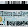 Florida Drivers License Back New Template PSD