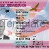 Employment Authorization Document Template Front