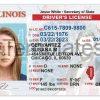 Illinois Driver License Selfie Template PSD