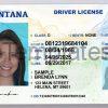 Montana Drivers License Template Front
