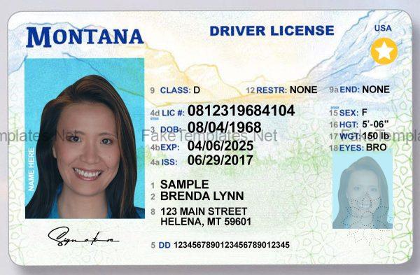 Montana Drivers License Template Front