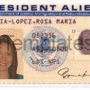 Resident Alien Card Template PSD Front