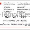 Social Insurance Number Template