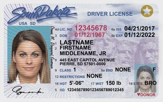 Driver License Fake Template