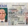 Utah Driver License Template Front